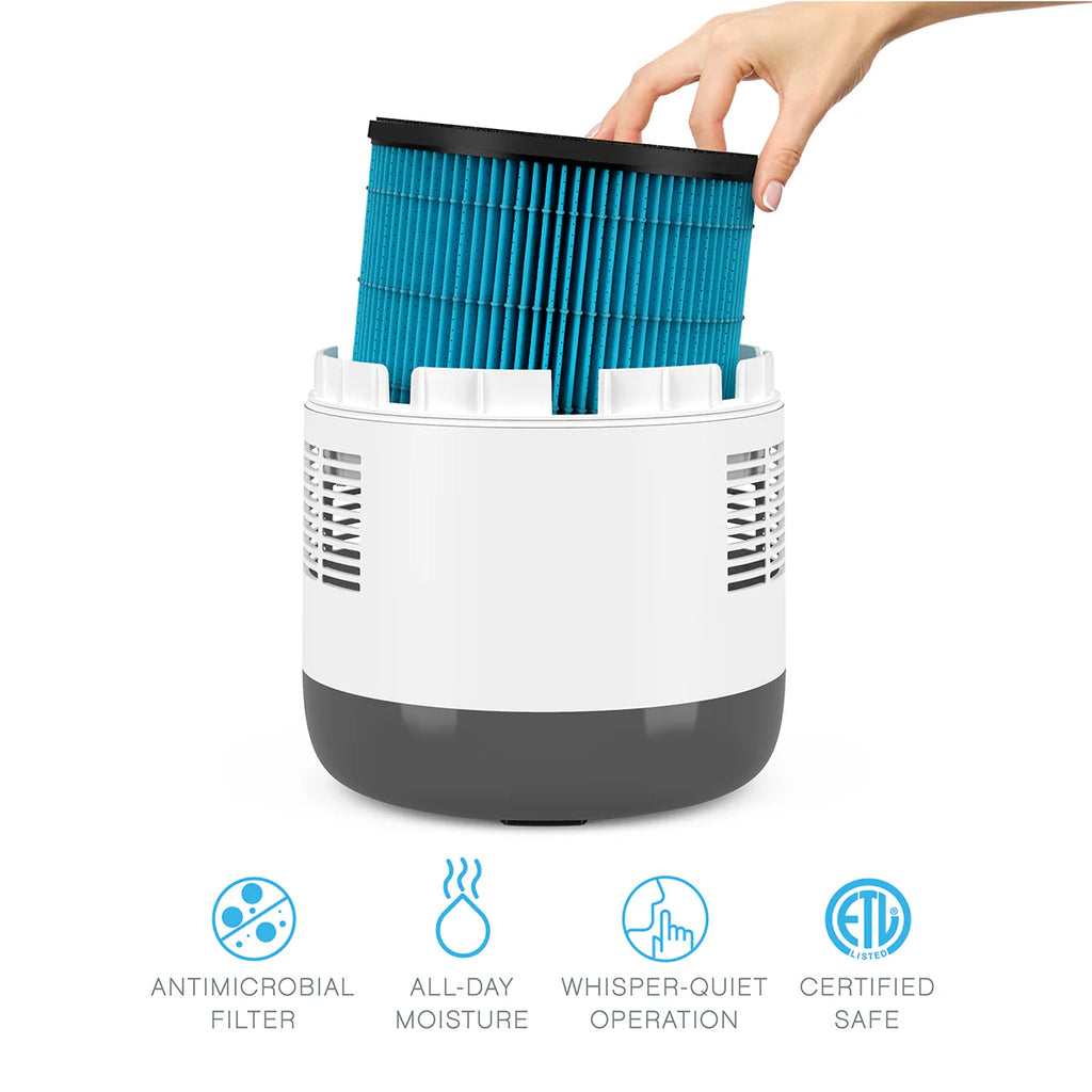 Mist-Free Humidifier